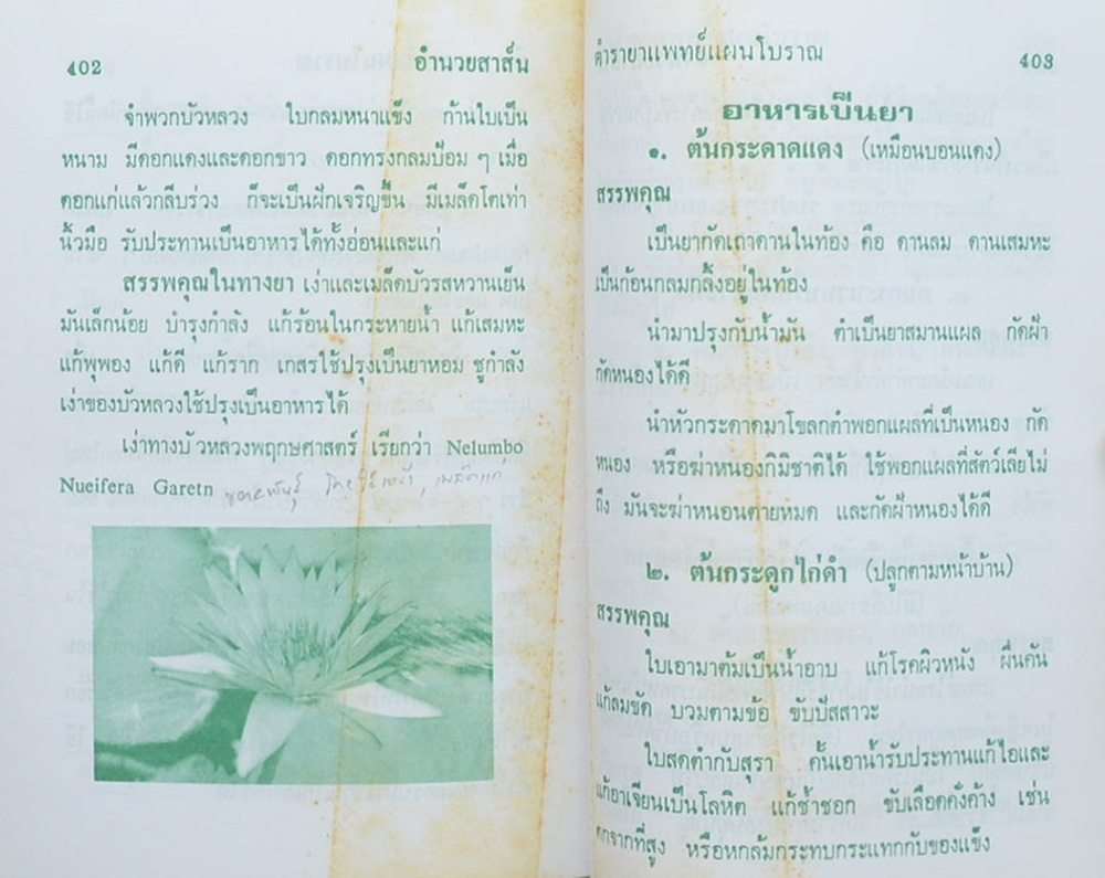 ตำรายาแพทย์แผนโบราณ