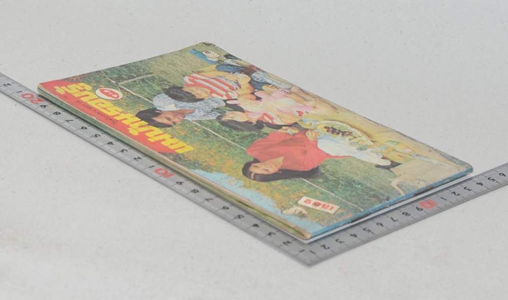 แม่บ้านรอบรู้ (เล่ม 2)