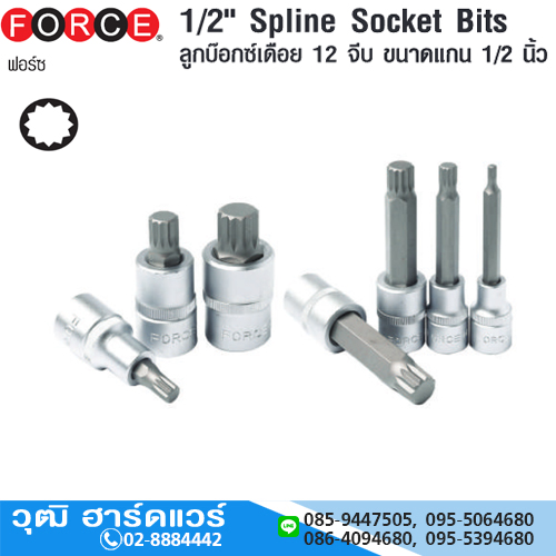 FORCE ลูกบ๊อกซ์เดือยโผล่ 1/2" 12จีบ