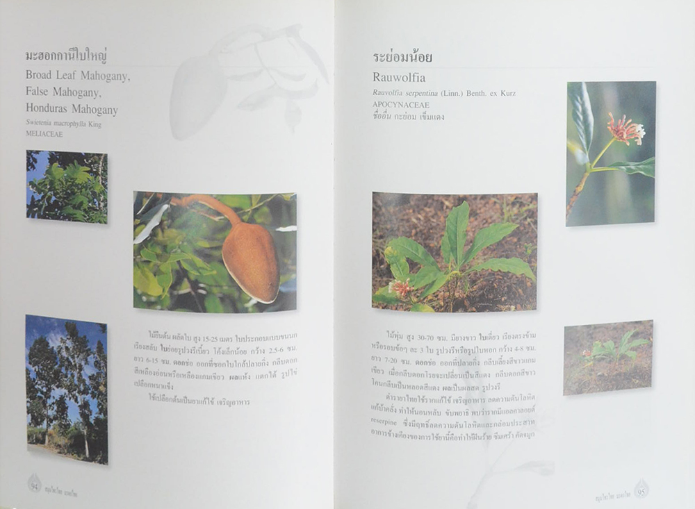 สมุนไพรไทย มรดกไทย