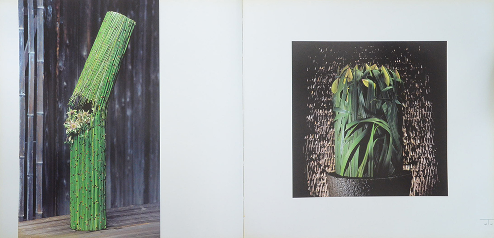 DANIEL OST LEAFING THROUGH FLOWERS