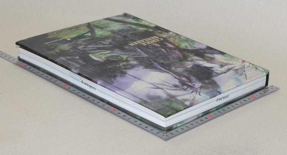 CAROLE BENZAKEN (ขายตามสภาพ)