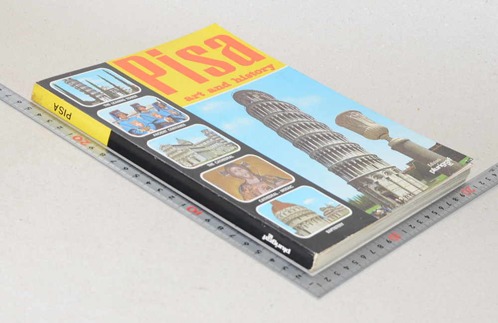 Pisa art and history