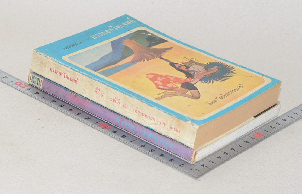 รวมเรื่อง (2 เล่ม)