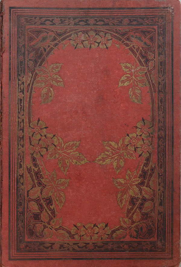 JOURNAL DE VOYAGE D’UNE HIRONDELLE