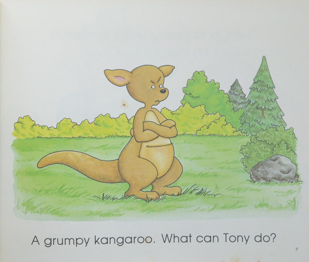 What do you do With a GRUMPY KANGAROO?