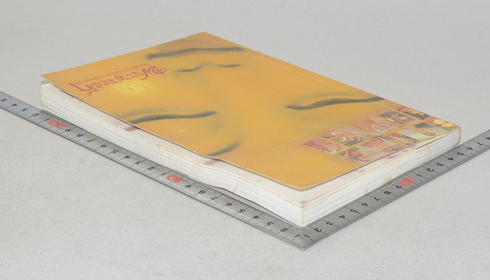 พระพุทธเจ้า จอมทัพโลกแห่งกองทัพธรรม