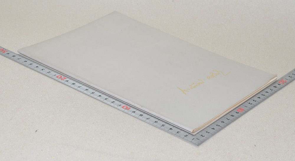 นางนงลักษณ์ คชเสนี (ครั้งหนึ่งในปารีส)