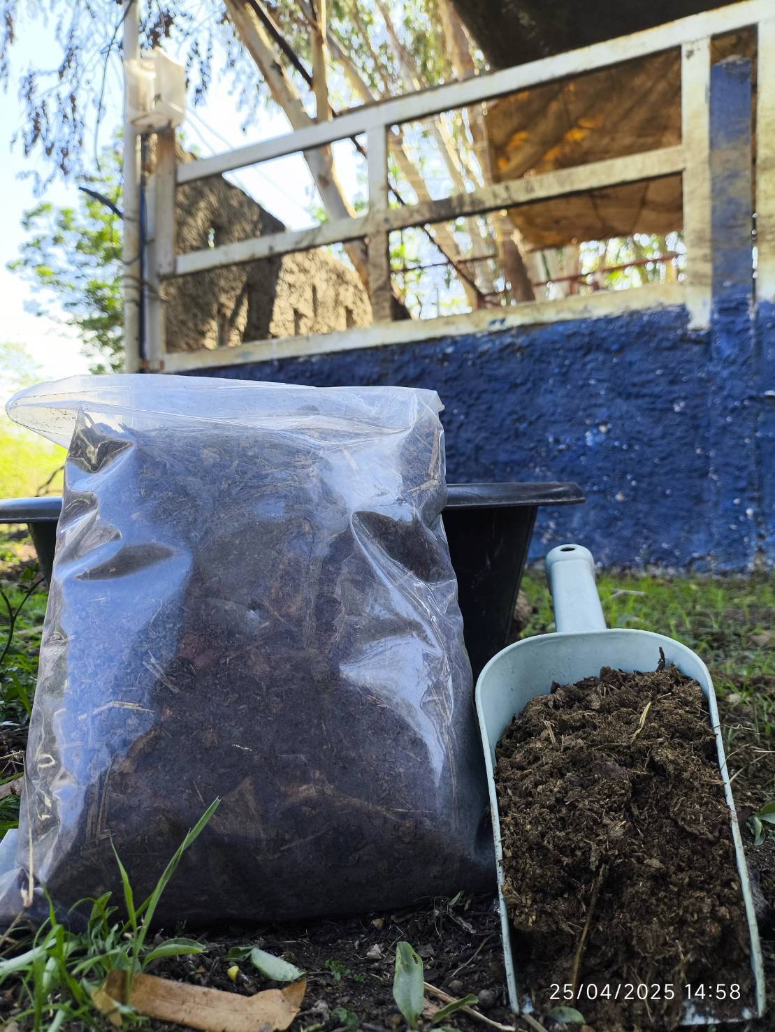 ขี้ควายแห้งแท้ 100%