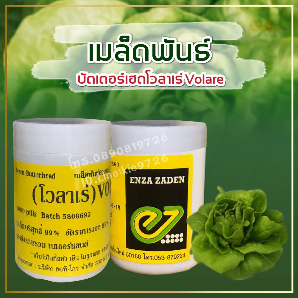 เรดบัตเตอร์เฮท แบบเคลือบ 1000 เมล็ด (ENZA)