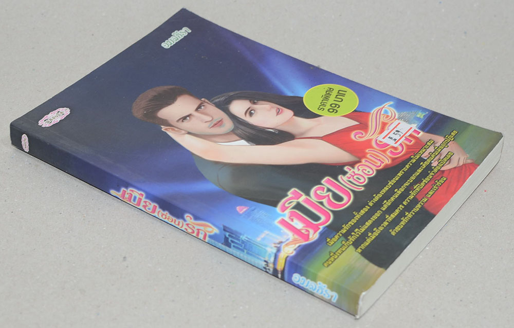 เมีย (ซ่อน) รัก (เล่มเดียวจบ)