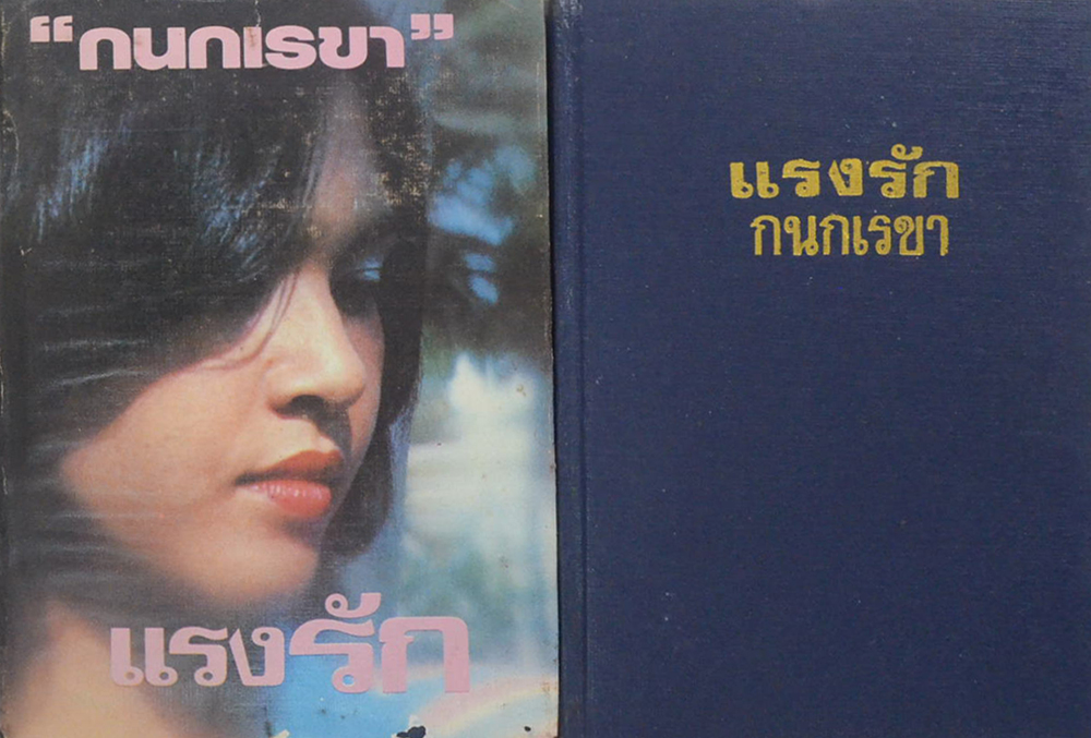 แรงรัก (2 เล่มจบ)