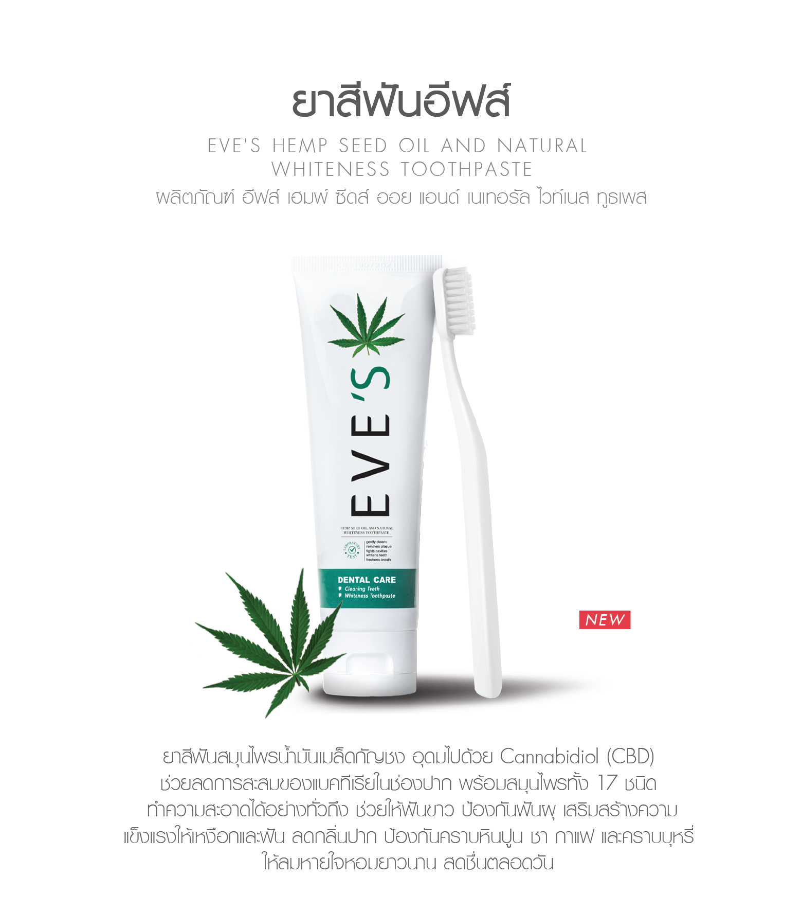 โปรโมชั่น ยาสีฟันอีฟส์ ยาสีฟันอารมณ์ดี EVE’S TOOTHPASTE