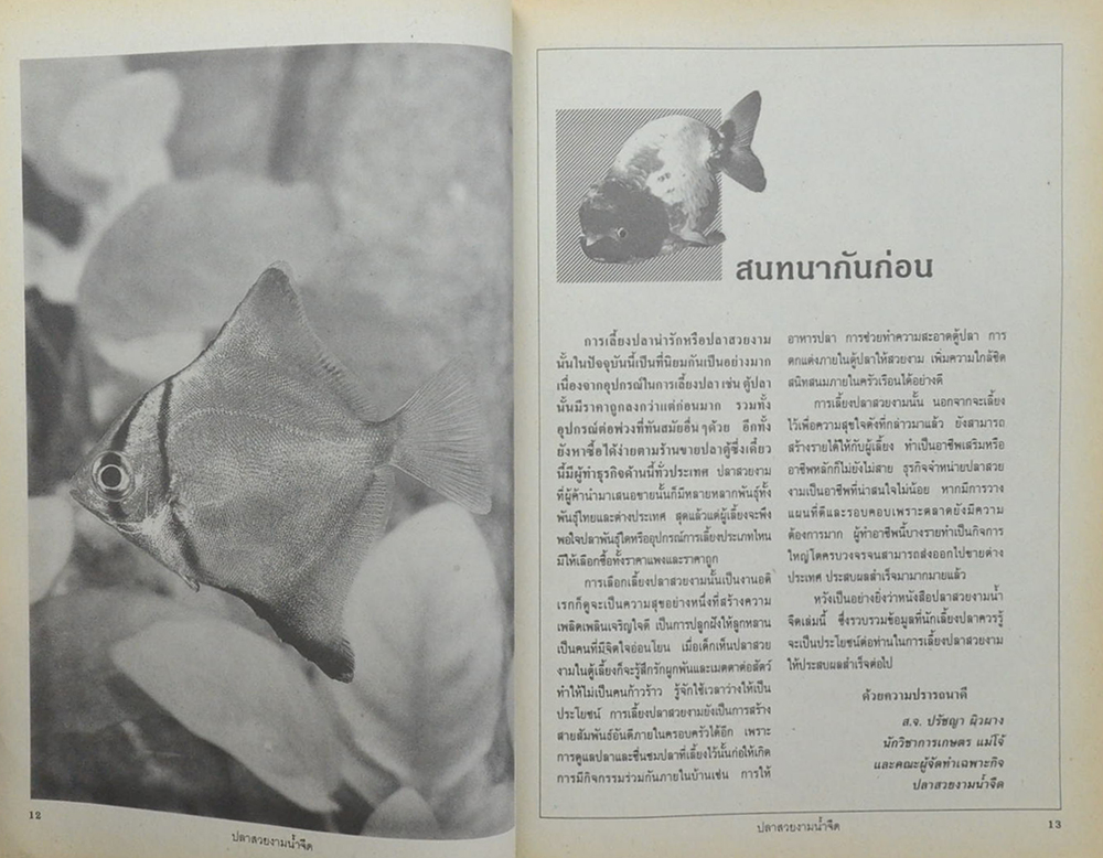 เลี้ยงปลาสวยงาม