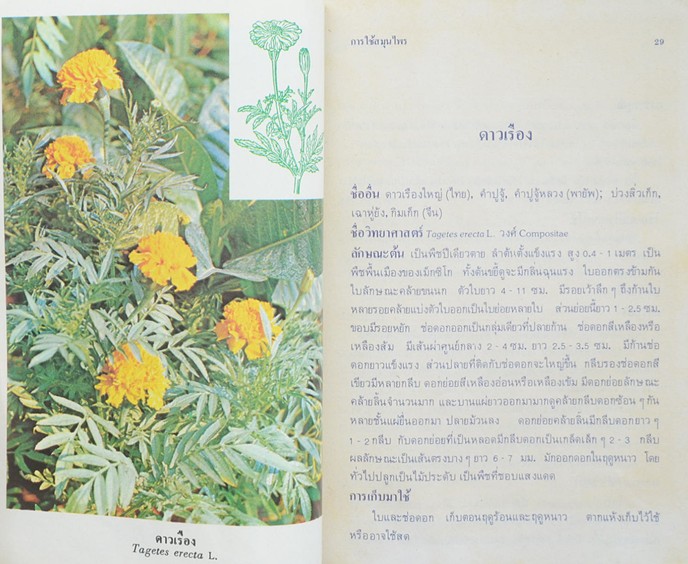 การใช้สมุนไพร (เล่ม 1)