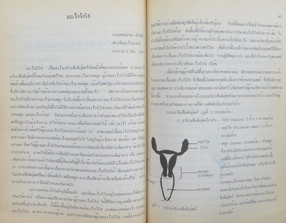 นางอาบจิตต์ ปาลวัฒน์วิไชย (คำแนะนำสำหรับสตรีเกี่ยวกับมะเร็ง)