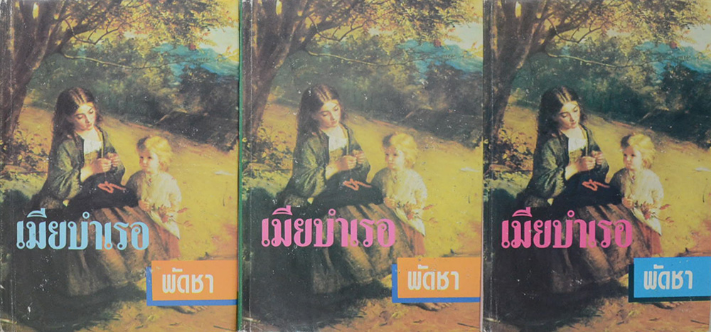 เมียบำเรอ (3 เล่มจบ)