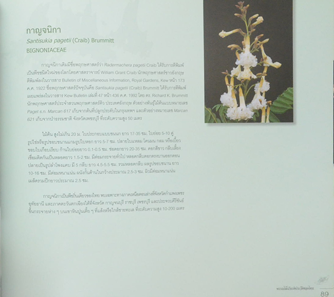 พรรณไม้เกียรติประวัติของไทย