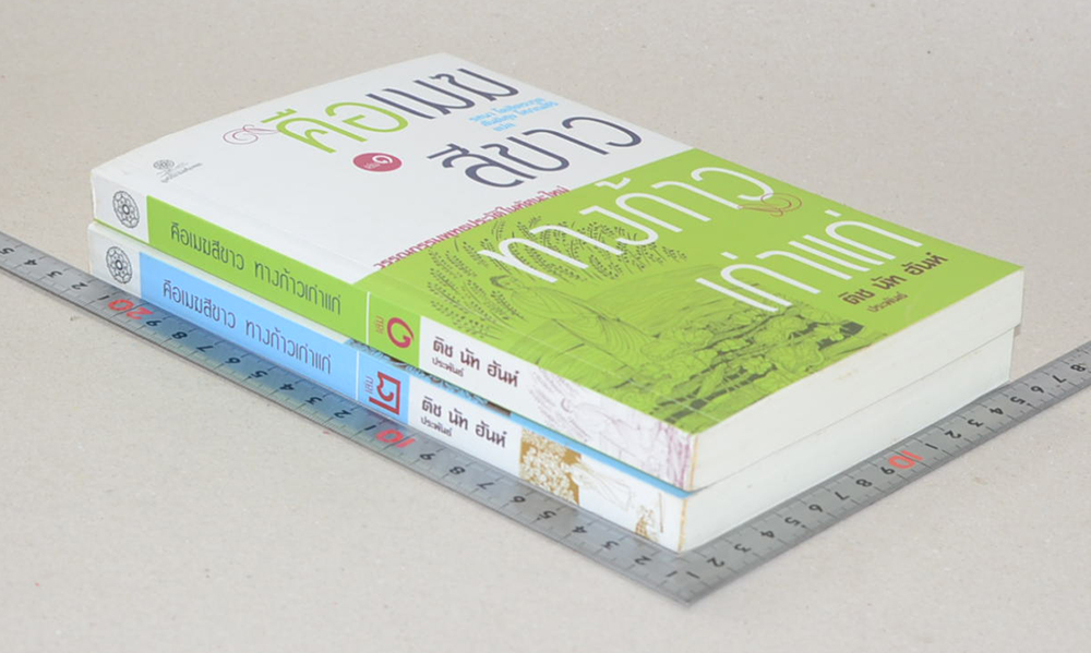 คือเมฆสีขาว ทางก้าวเก่าแก่ (เล่ม 1-2)