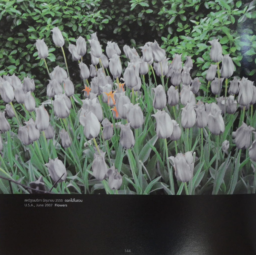 ชีวิตที่หมุนไปไม่หยุดยั้ง