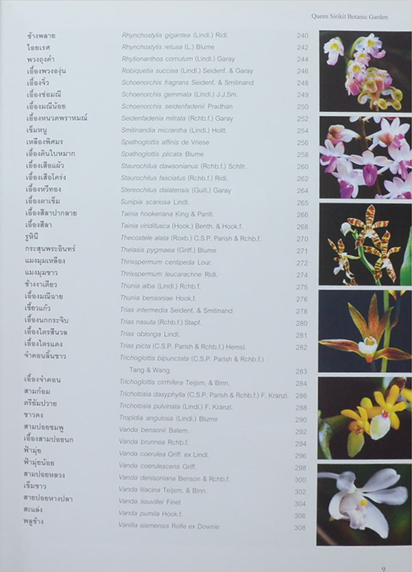 สวนพฤกษศาสตร์สมเด็จพระนางเจ้าสิริกิติ์ กล้วยไม้ไทย 2 (ไทย-อังกฤษ)