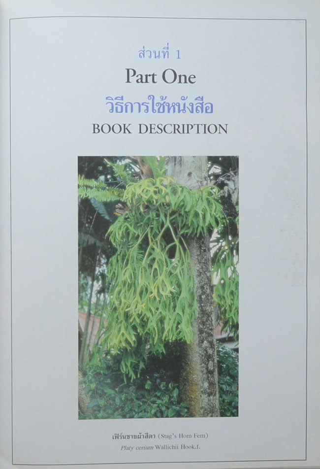 พฤกษาพัน (ภาษาไทย-อังกฤษ)