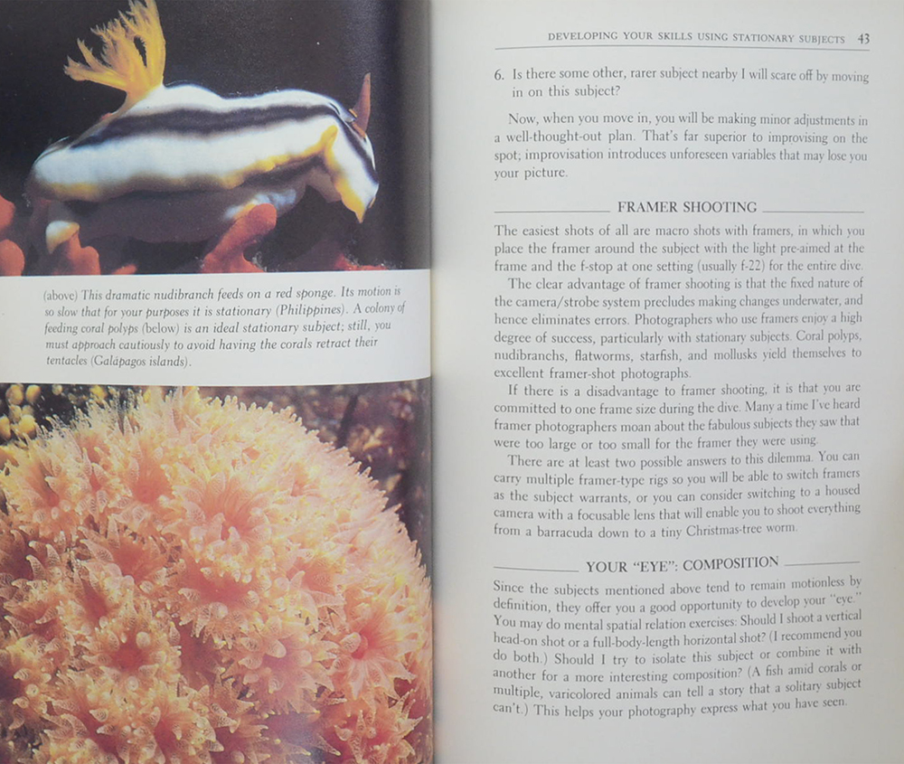 MASTERING UNDERWATER PHOTOGRAPHY