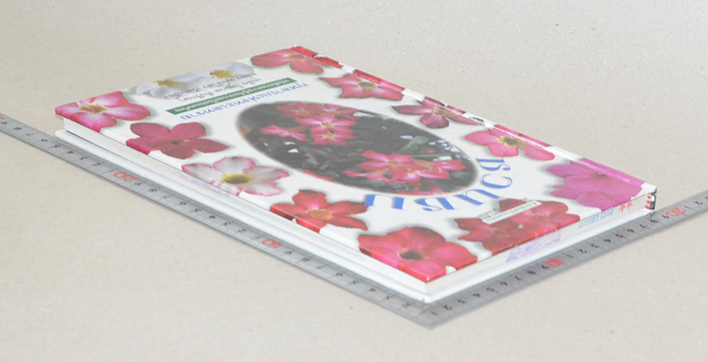 ชวนชม: กุหลาบแห่งทะเลทราย (ขายตามสภาพ)