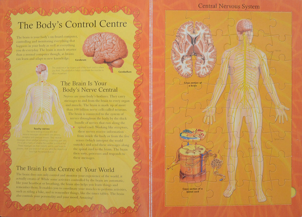 THE HUMAN BODY JIGSAW BOOK