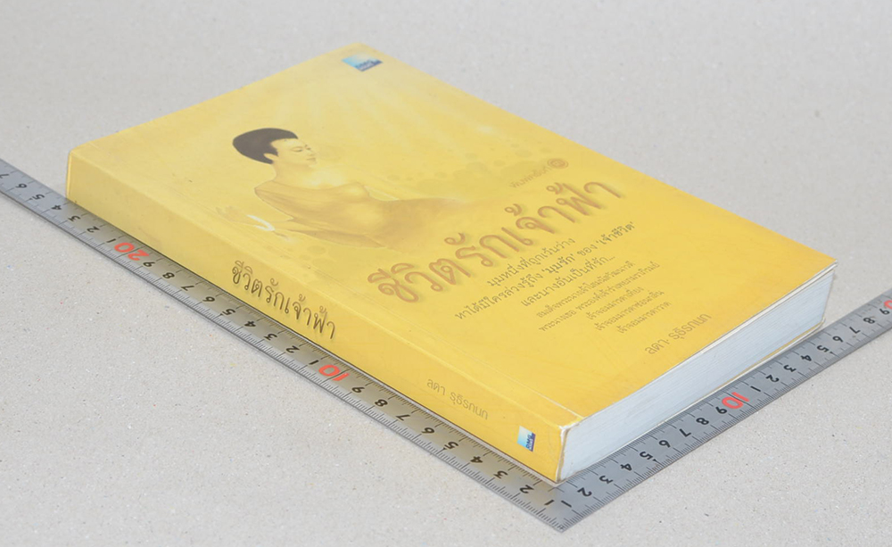 ชีวิตรักเจ้าฟ้า