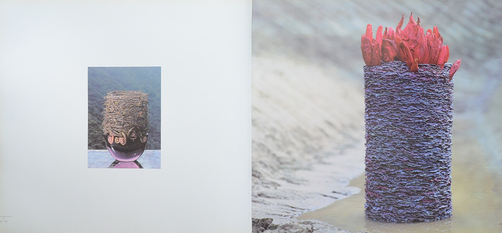 DANIEL OST LEAFING THROUGH FLOWERS