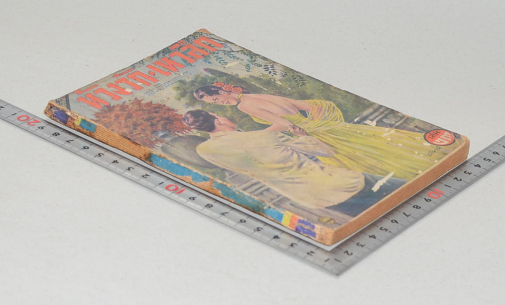 ห้วงรัก-เหวลึก (เล่ม 23) (ขายตามสภาพ)