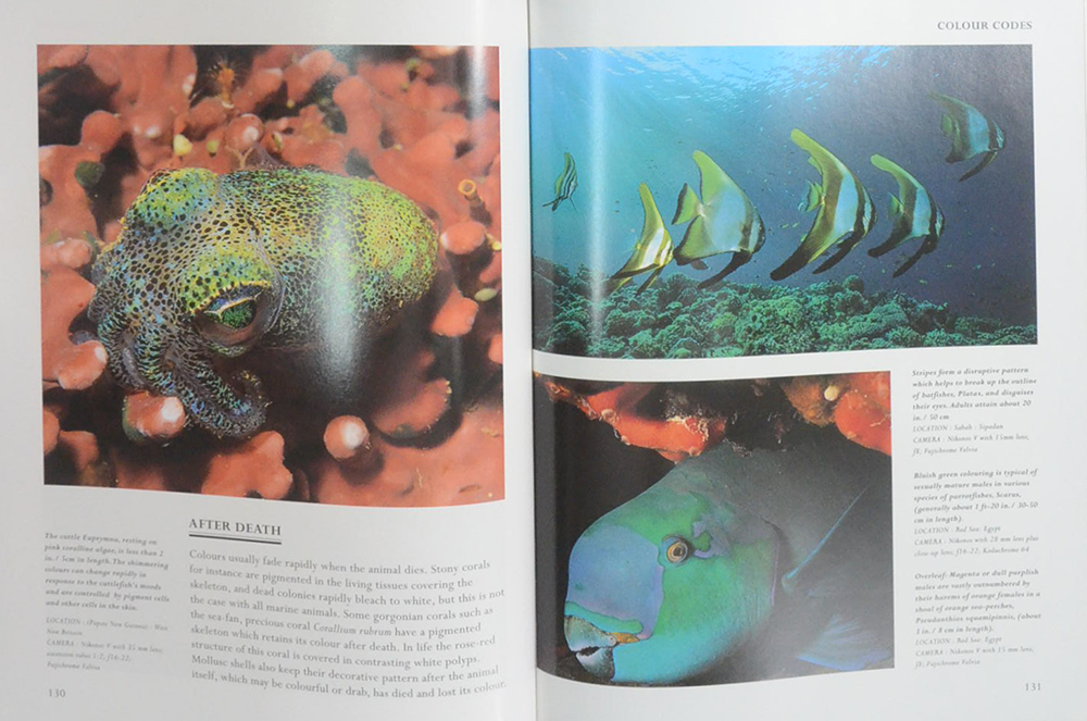 The Living Sea A Photographic Exploration of Life in the Sea