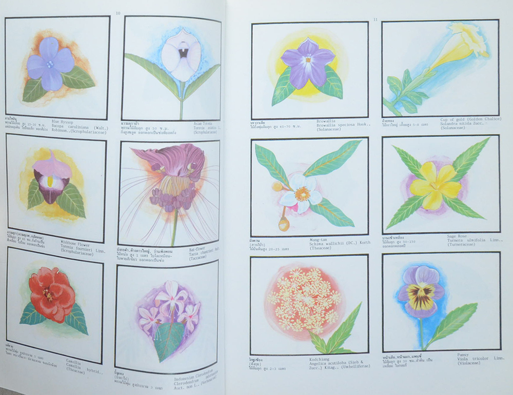 พจนานุกรมไม้ดอกไม้ประดับในเมืองไทย (2 เล่มจบ / ขายตามสภาพ)