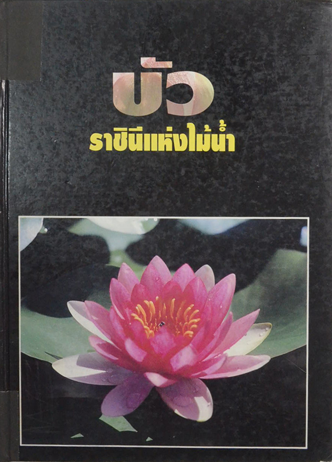 บัว ราชินีแห่งไม้น้ำ (ขายตามสภาพ)