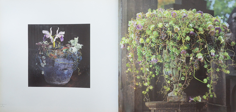 DANIEL OST LEAFING THROUGH FLOWERS