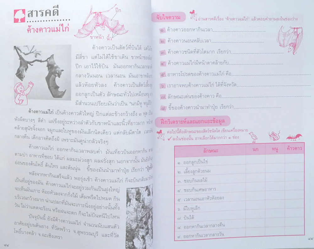 อ่านออกเขียนได้