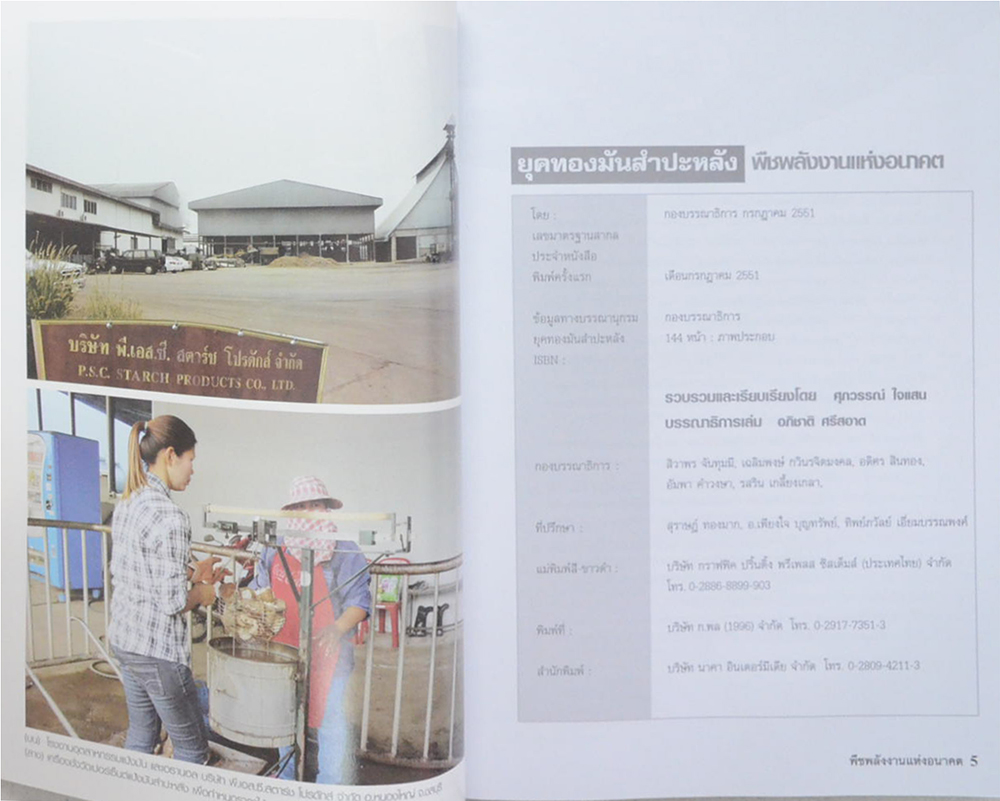 วิธีเพิ่มผลผลิต มันสำปะหลัง