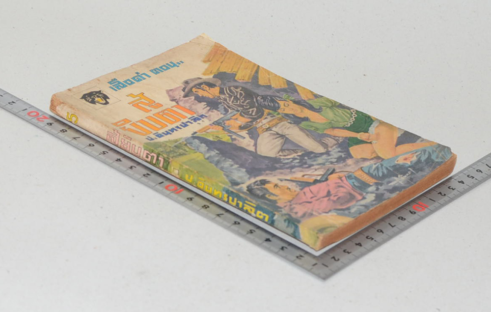 เสือดำ ตอน สู้ยิบตา (เล่ม 5)