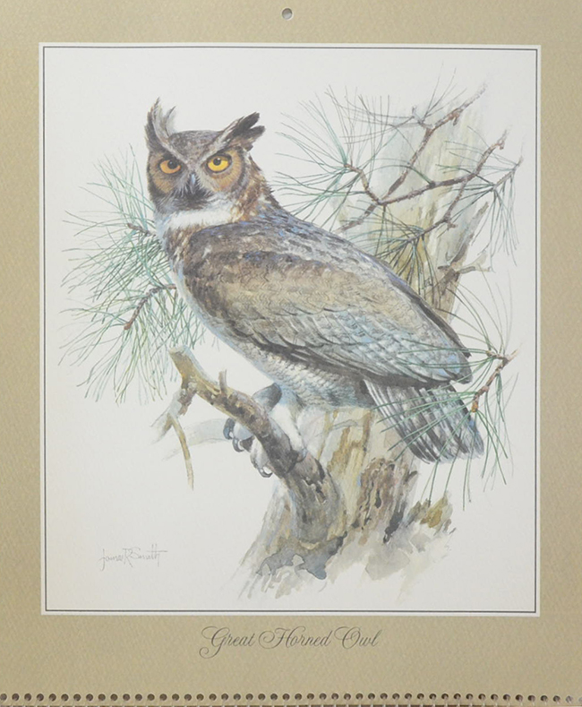 Birds of North America