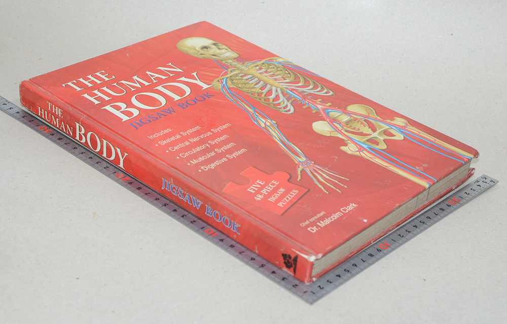 THE HUMAN BODY JIGSAW BOOK