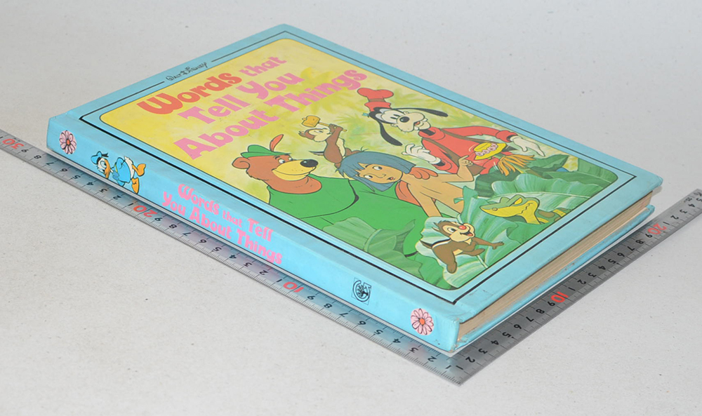 Words that Tell you About Things