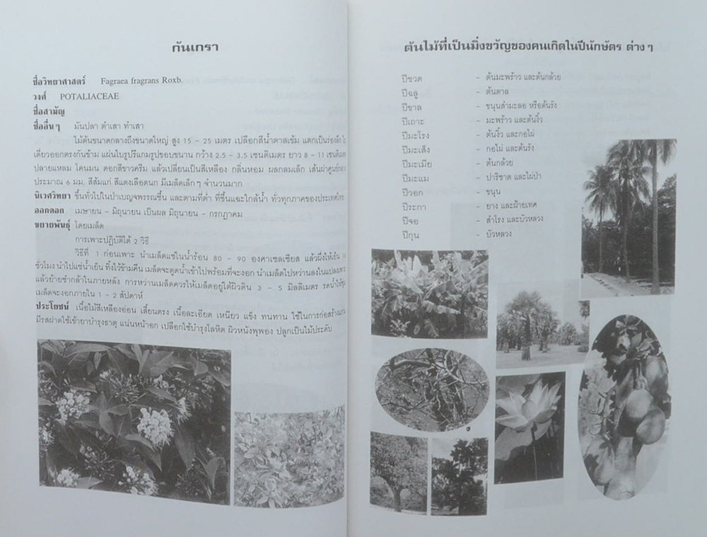 อาลัยถึง คุณพ่อดิเรก สกุณาธวงศ์ (เตรียมตัวผจญภัยในวัยทอง)