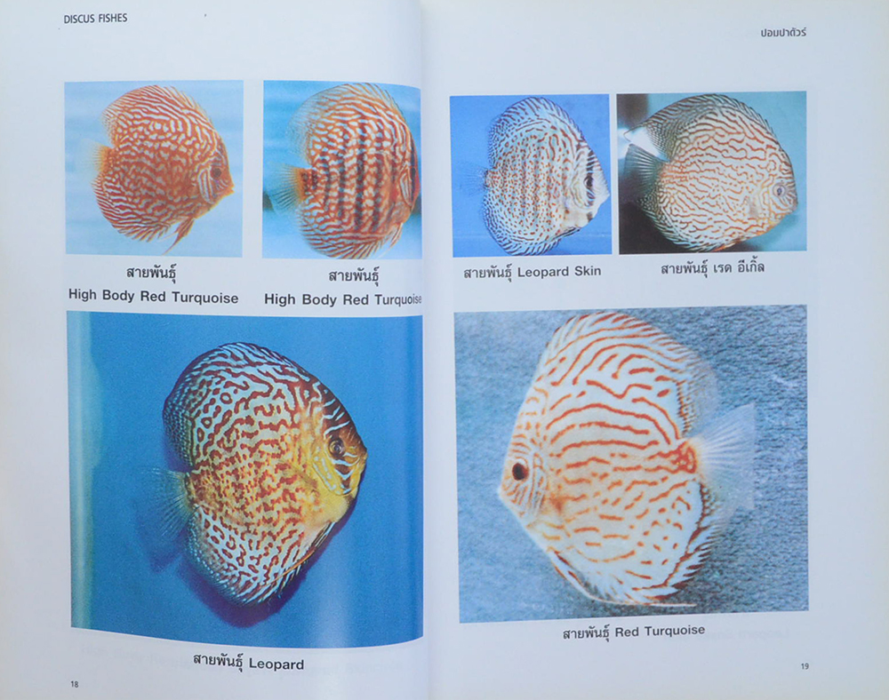 ปอมปาดัวร์