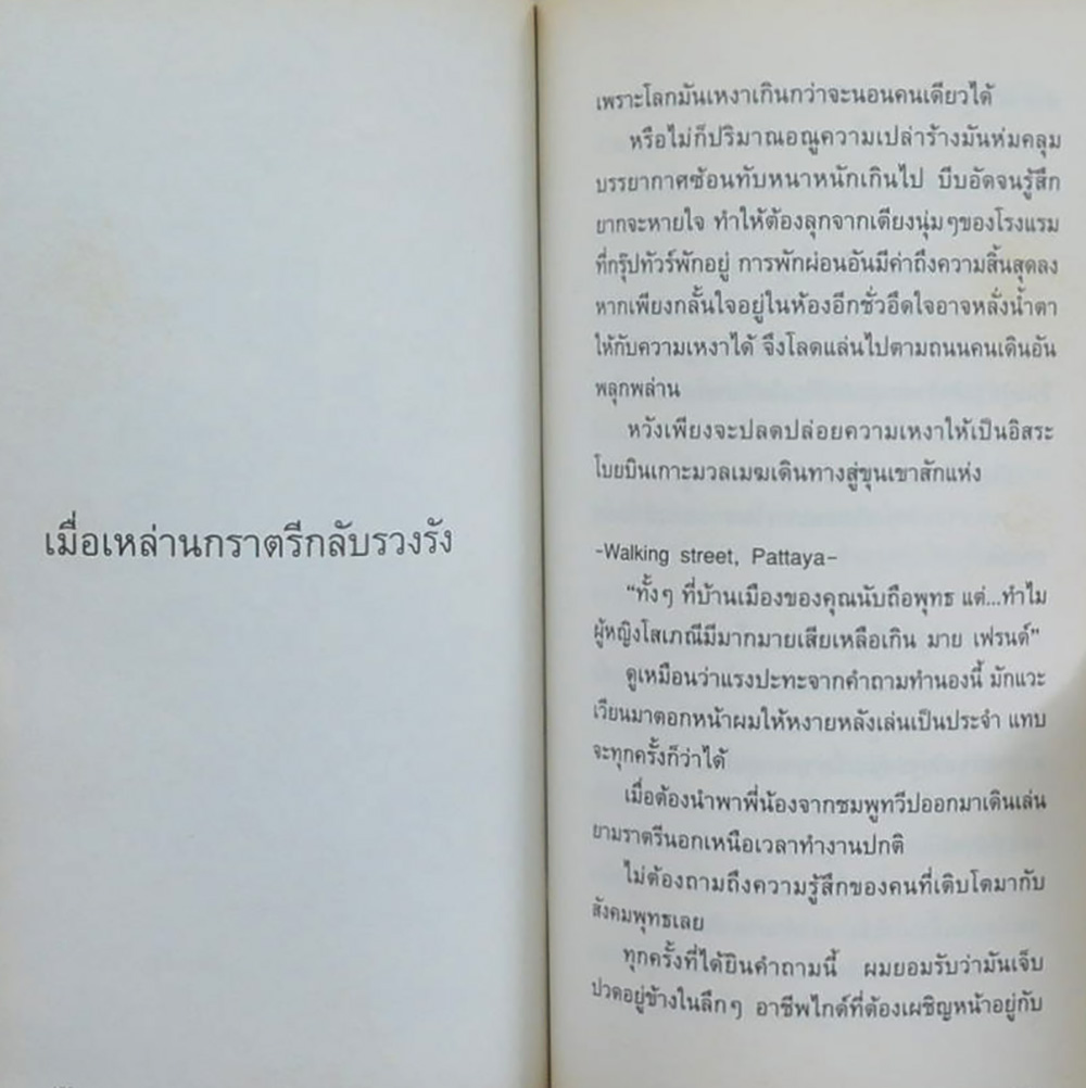 วิถีไกด์หนุ่ม (เล่มเล็ก)