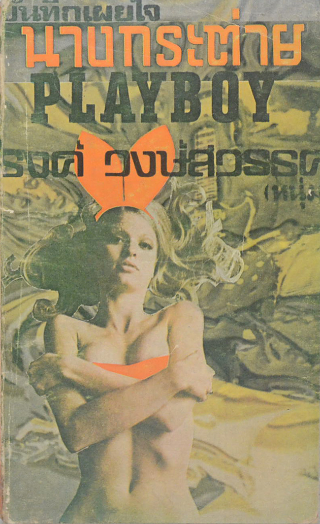 บันทึกเผยใจนางกระต่าย PLAYBOY (เล่มเล็ก)
