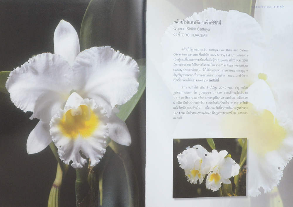 สวนสมเด็จพระนางเจ้าสิริกิติ์ฯ