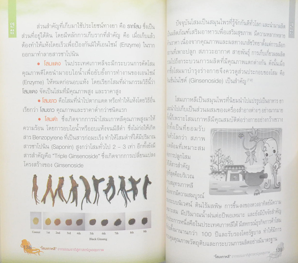 โสมเกาหลี จากธรรมชาติสู่ศาสตร์ดูแลสุขภาพ