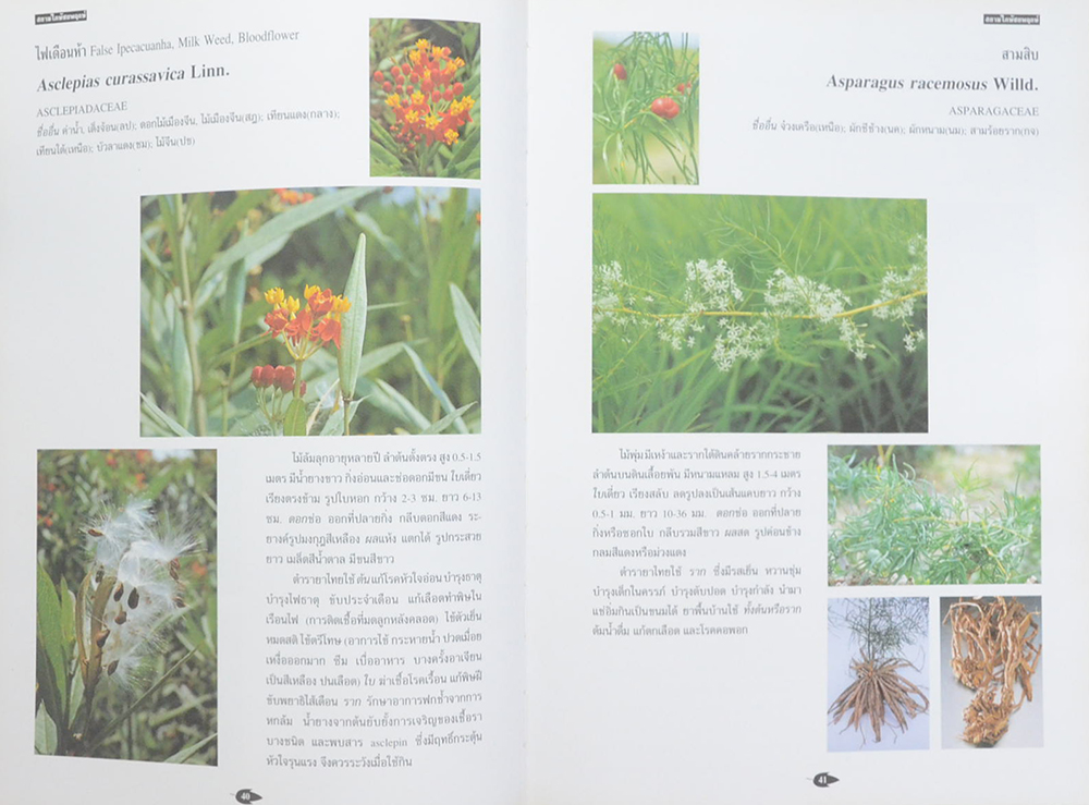 สยามไภษัชยพฤกษ์ ภูมิปัญญาของชาติ