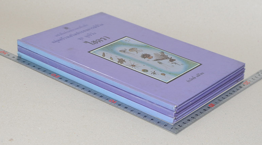 หนังสืออ่านประกอบอ้างอิงกลุ่มสร้างประสบการณ์ชีวิต ชุด จุลชีวัน (3 เล่ม)